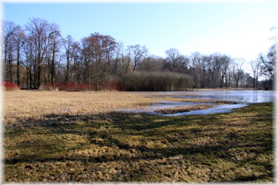 Arboretum Kórnickie