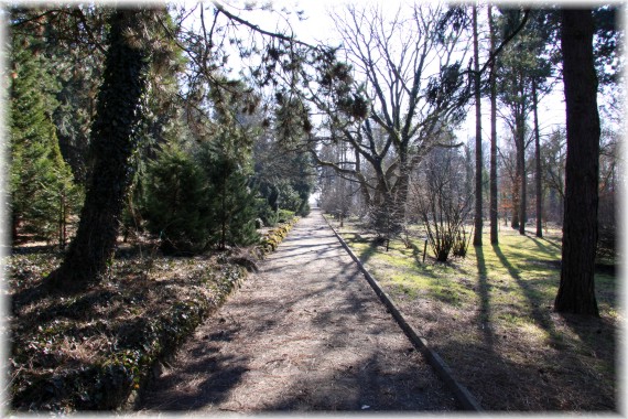 Arboretum Kórnickie