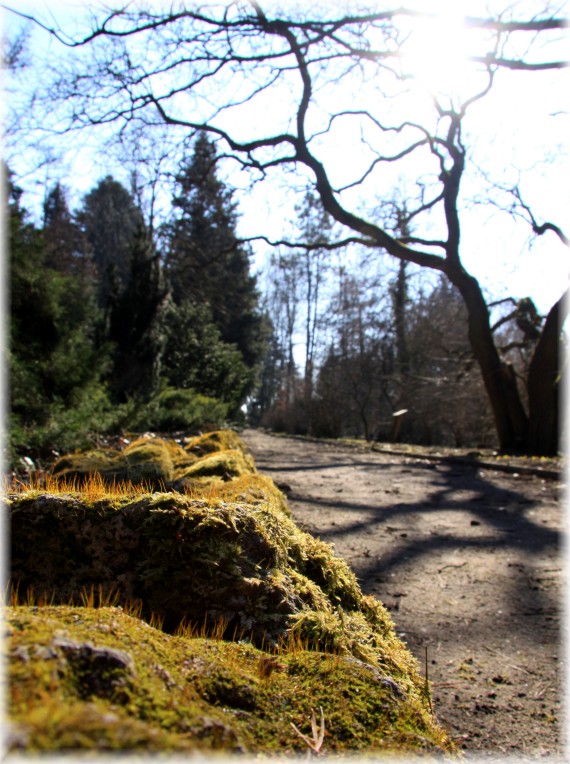 Arboretum Kórnickie