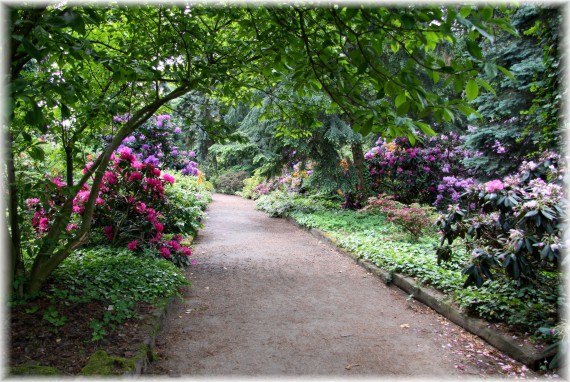 Arboretum Kórnickie