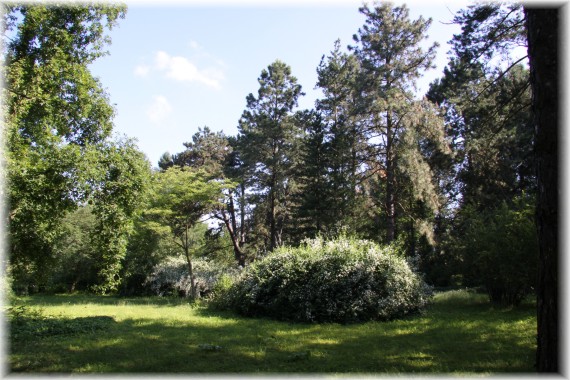 Arboretum Kórnickie