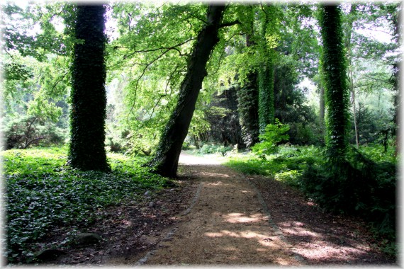 Arboretum Kórnickie