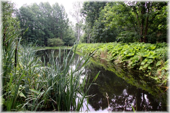 Arboretum Kórnickie
