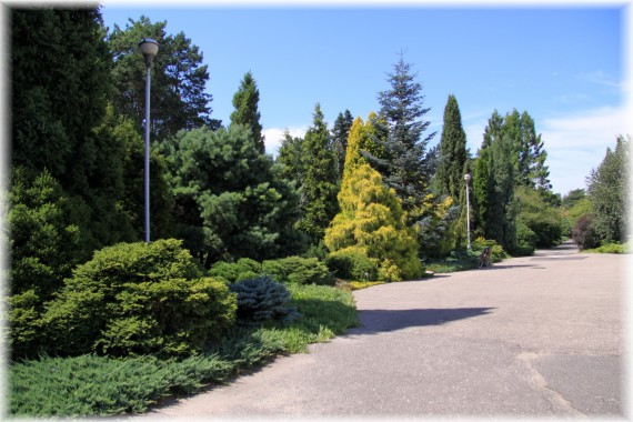Arboretum kórnickie