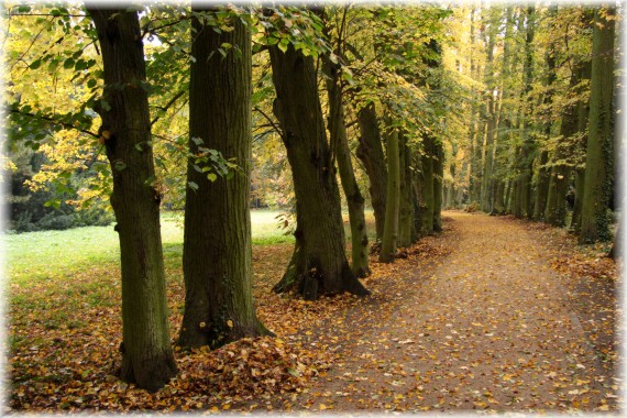 Aleja Generałowej Zamoyskiej