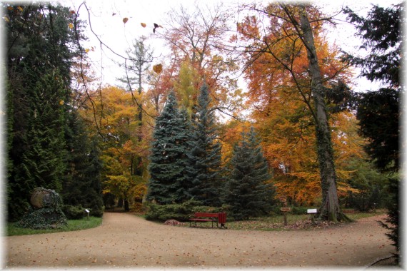 Arboretum jesienią