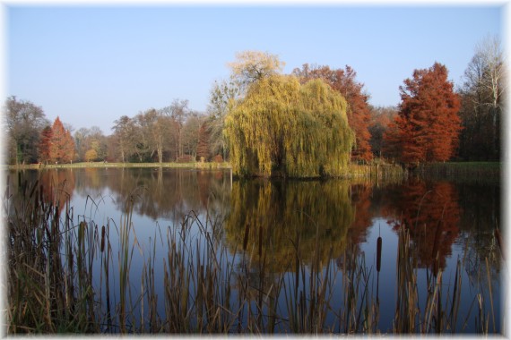 Arboretum jesienią