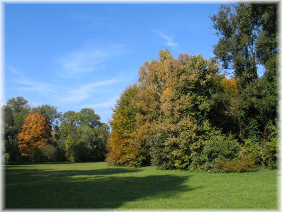 Jesień w Arboretum