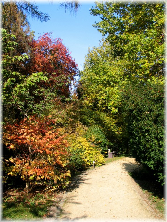 Jesień w Arboretum