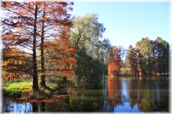 Jesień w Arboretum