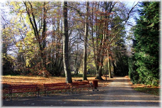 Jesień w Arboretum