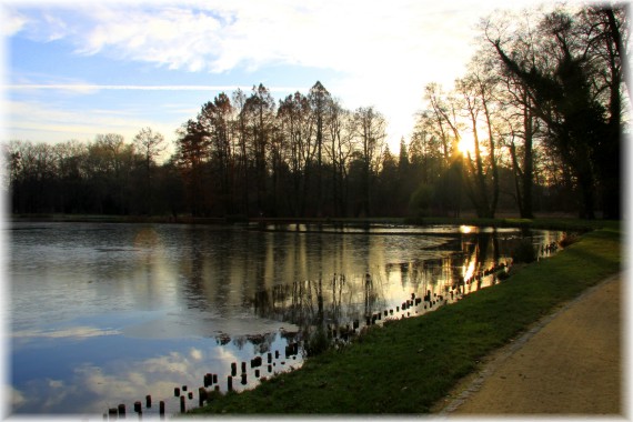 Jesień w Arboretum