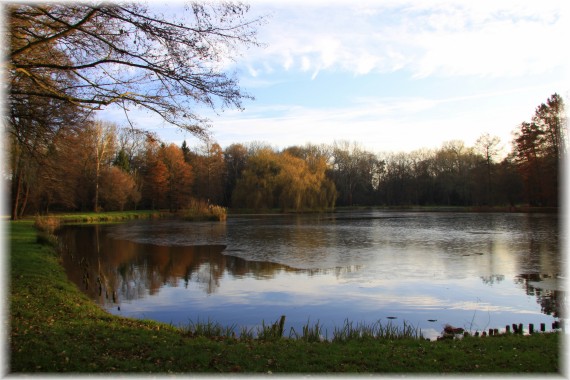 Jesień w Arboretum