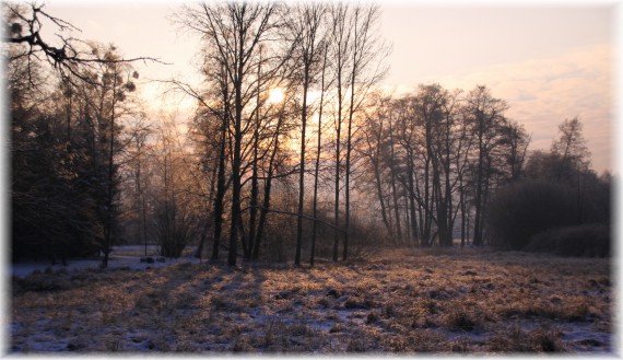 Zima w Arboretum