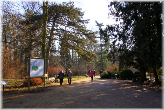 Widok na arboretum