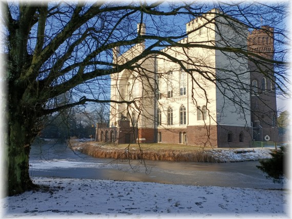 Na pierwszym planie po lewej ciemna sylwetka drzewa bez liści. W tle jasna bryła zamku otoczonego zamarzniętą fosą. Na ziemi śnieg. W tle niebieskie niebo.