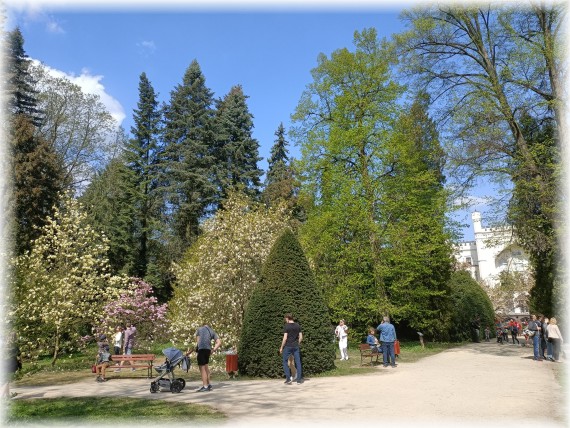 Park. Po ścieżkach spacerują ludzie i podziwiają kwitnące krzewy. W tle fragment zamku.