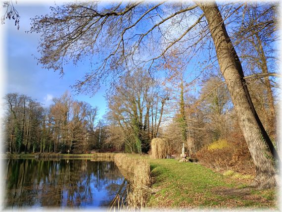 Park. Na pierwszym planie po prawej fragment drzewa pochylonego w lewą stronę. Po lewej fragment stawu. W tle drzewa bez liści i błętite niebo.