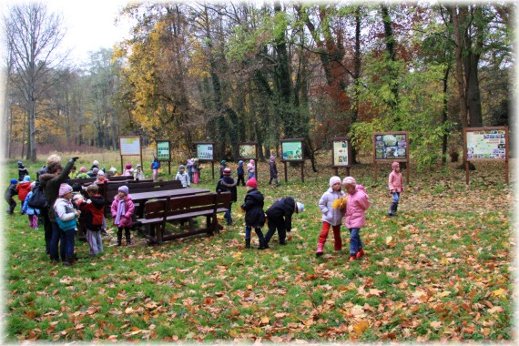 Grupa dzieci na polanie, część z nich zbiera jesienne liście. W tle tablice edukacyjne.