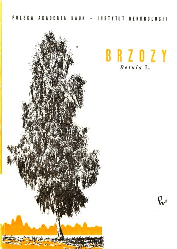 Brzozy