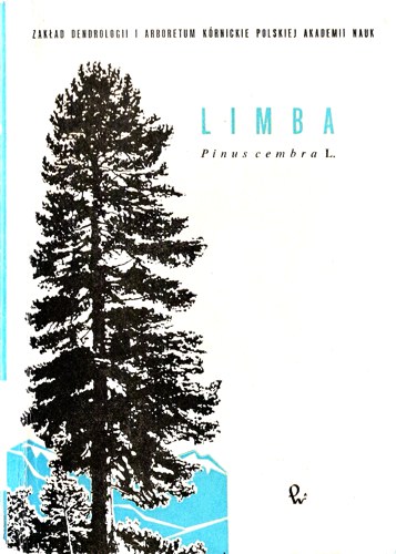 Limba