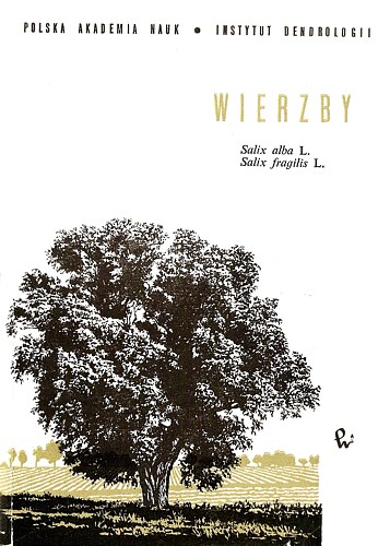 Wierzby