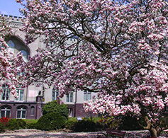 arboretum