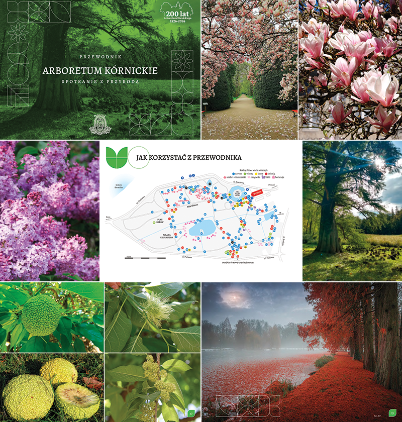 przewodnik arboretum